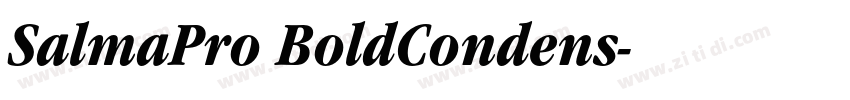 SalmaPro BoldCondens字体转换 SalmaPro BoldCondens字体转换